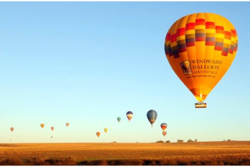 Australian-Culture-and-Lifestyle-–-What’s-On-june9