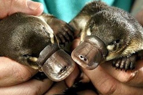 image10-march-2026-10