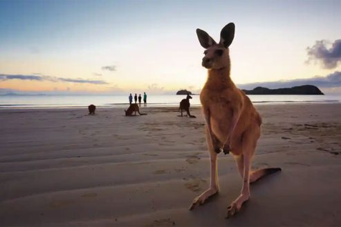 image3-january-edition-2026