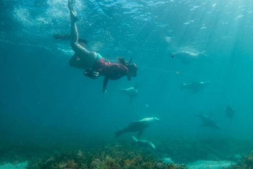 image7-january-edition-2026